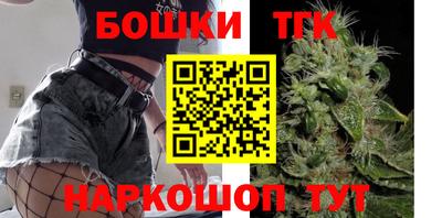 гашик Будённовск