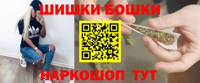 гашик Будённовск