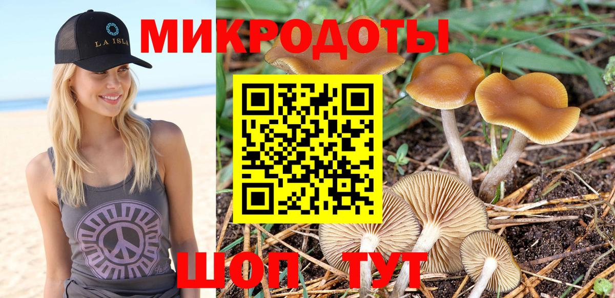 Галлюциногенные грибы мицелий Шебекино