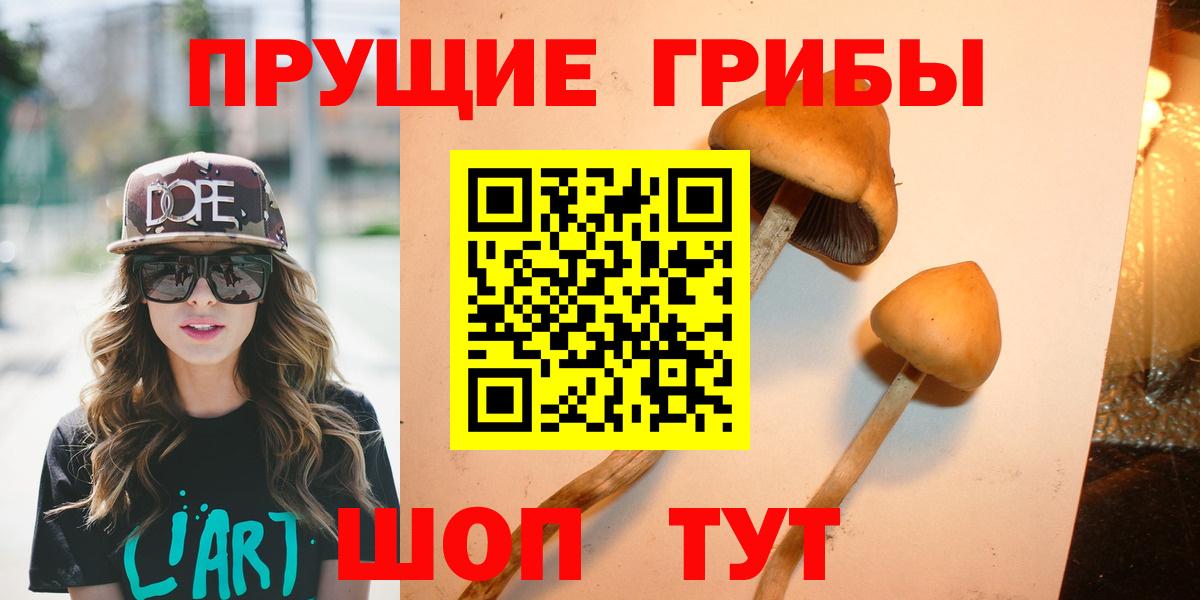 Галлюциногенные грибы Psilocybe  Галлюциногенные грибы мицелий  хочу   Вход с VPN  Шебекино 